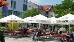 Bistrorant - Rosmarino