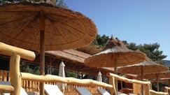 Tiki Beach Bar