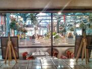 La Cocotte des Halles