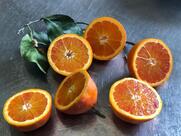 Sugo e Camicia cucina popolare calabrese