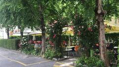Café restaurant pizzeria Tservetta