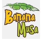 Banana Musa