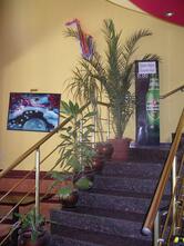 ресторант Каприз