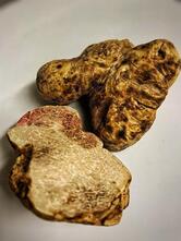 Fuoco Di Vino - Botega Culinaria