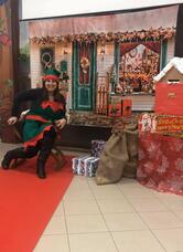 I due leoncini Park/Pinseria