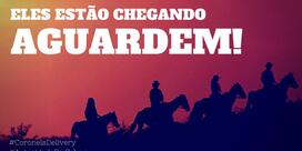 Coronel Burger Delivery