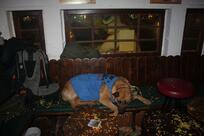 Les archives de La Grange