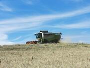 Vesperstüble zum Angus