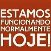 Lilika 's Dog Cachorro - Quente Prensado