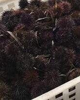 Ristorante Basilio Cagliari