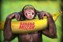 Banana Muzak