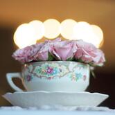 Ресторан Optima Делюкс Кривий Ріг