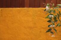 Espaço Livre Bar e Restaurante