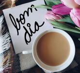 Panificadora e Café São Cristóvão