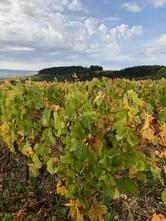 Restaurant Le Charmy