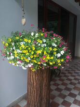 Ristorante Agriturismo Al Girasole