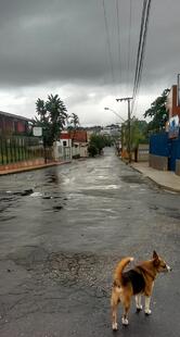 Padaria E Confeitaria São Geraldo