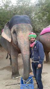 My Elephant Trip