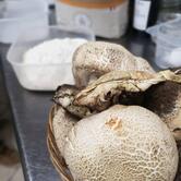 Borgo Contea Pizza&Cucina