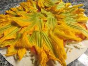 Pizzeria Ristorante Settegiacche