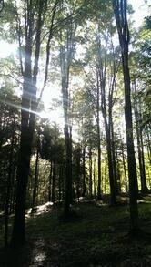 Capanna Genziana Ristorante Tambre d'Alpago