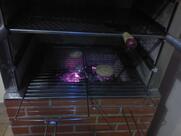 Monte Libano Bar e Restaurante