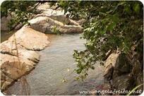 Poço Do Sucuri Goiás