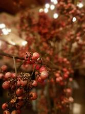 Restaurante e Petiscaria Pimenta Rosa Juquehy