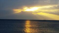 Restaurant Porto Bus