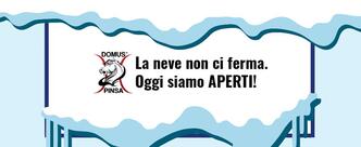 Domus Pinsa Velletri