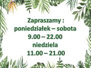 Bar Imbir Kikoł