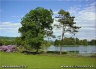Restaurant-Bar Seerose, beim Nussbaumersee, 8537 Uerschhausen