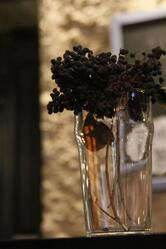 SpeakEasy (Bettola Clandestina)