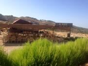 Al Kooz Cafe