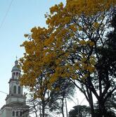 Restaurante Castelinho