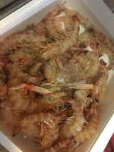 Marintavola Ristorante Pizzeria