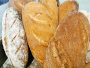 New Food Gluten Free - Monteverde