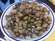 Gastronomia Albertini