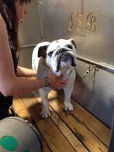 Bar Caffetteria Da Bruno