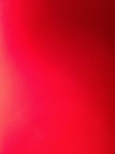 Pizzeria Pantera Rosa