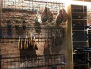 BOX CAFFÈ - in Galleria