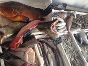 pescheria alta marea