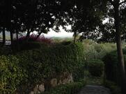Ristorante Osteria L'Oliveta