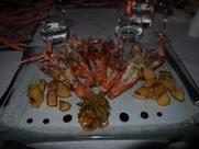 Villa Contarini Nenzi