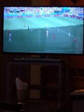 Cichetteria degli Ostinati