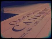 Pizzeria Osteria Il Candidato di Alfredo Sesia