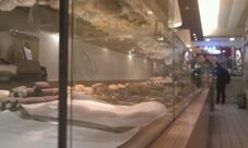 Cafè Carlotta Padova