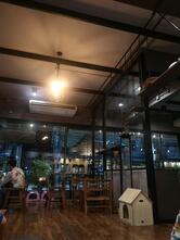 CAT 'n' A CUP Cat Cafe