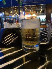 Carnívoros Xperience’s