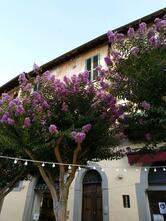 Caffè La Valle Vignanello